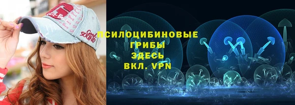 прущая мука Бородино