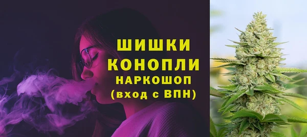 прущая мука Бородино
