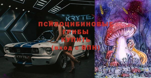 прущая мука Бородино