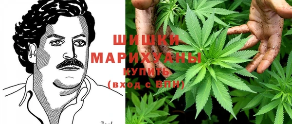 прущая мука Бородино