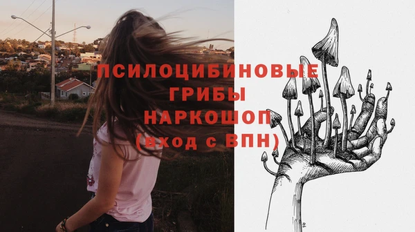 прущая мука Бородино