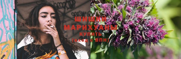 прущая мука Бородино