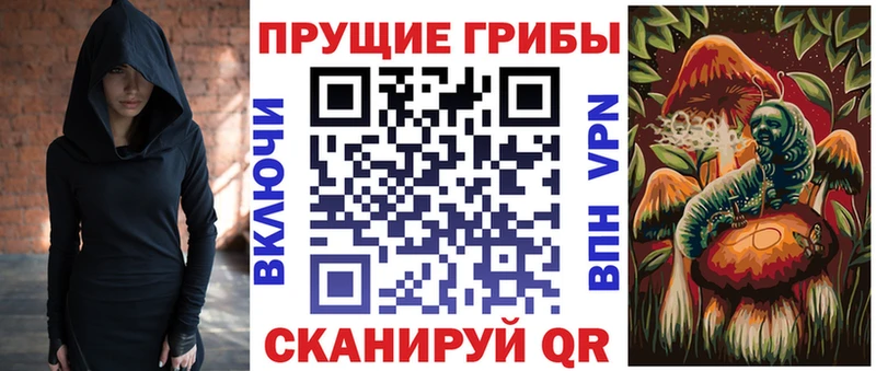 мориарти Telegram  где продают   Тула  Псилоцибиновые грибы Psilocybine cubensis 